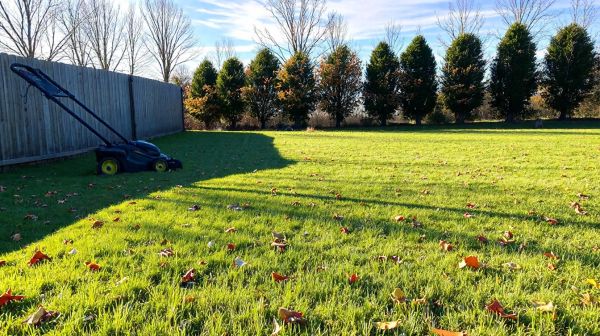 Comment préparer votre pelouse pour l'hiver avec la dernière tonte