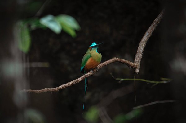 Comment créer un curriculum vitae convaincant pour décrocher un emploi dans le domaine de la technologie ?