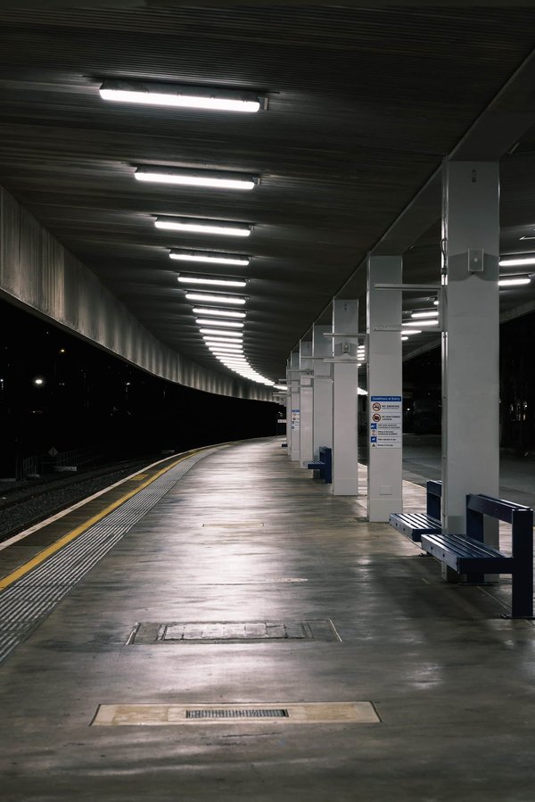 Créer un livre photo en ligne : choisir la plateforme idéale