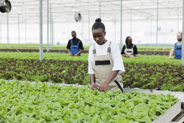 Quelle est la meilleure méthode pour enseigner la conservation de l'eau aux enfants à la maison ?